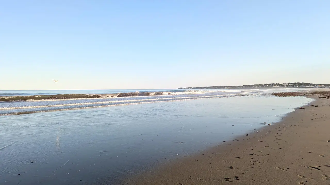 Top Activities to Enjoy at Footbridge Beach